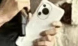 哈林爆料树懒视频,树懒萌动瞬间，萌态百出引网友热议